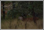 -img_1044.jpg