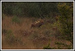 -img_1012.jpg