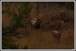 -img_1013.jpg