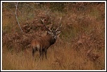 -img_1001.jpg