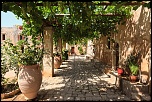 -img_5380.jpg