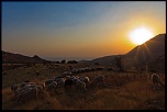 -img_5358.jpg
