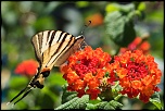 -img_4936.jpg