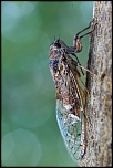 -img_5989.jpg