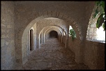 -img_5392.jpg