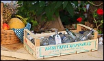 -img_5851.jpg