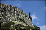 IMG 8984rhttp://www.eos-numerique.com/album.php?albumid=3276&attachmentid=32978