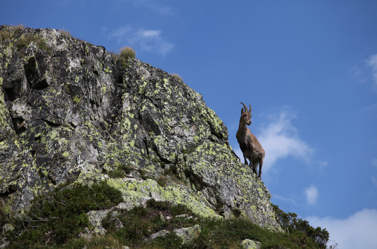 IMG 8984rhttp://www.eos-numerique.com/album.php?albumid=3276&attachmentid=32978