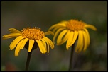 objectif-img_8947.jpg