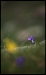 objectif-img_8544r.jpg