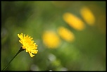 objectif-img_8488r.jpg
