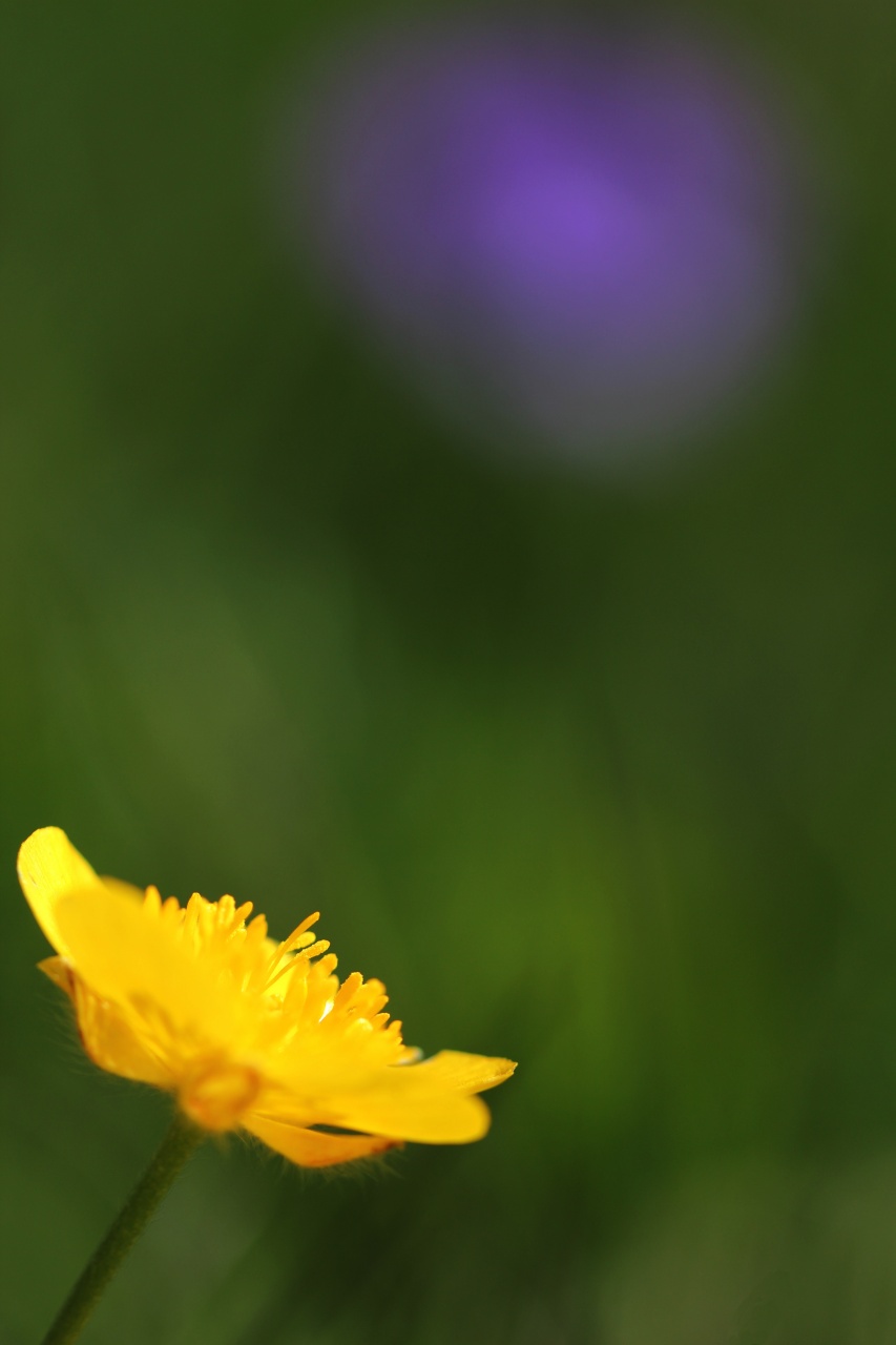 objectif-img_3736rr.jpg
