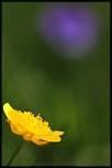 objectif-img_3736rr.jpg