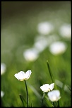 objectif-img_3719r.jpg