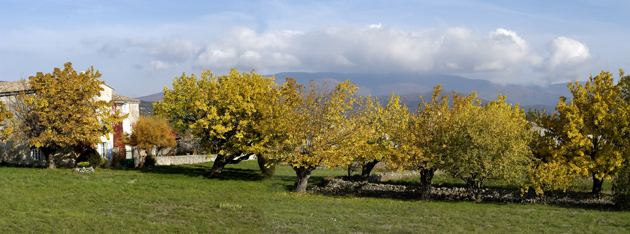 Besoin d aide-pano2626red.jpg