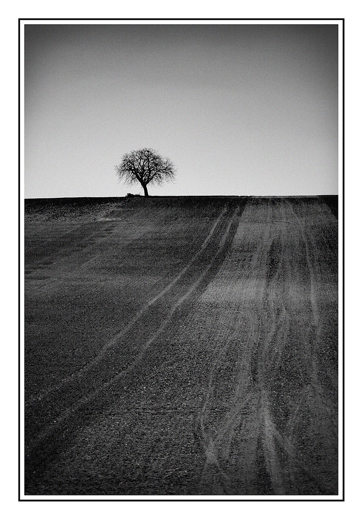 Sigma 18-125-4582.jpg