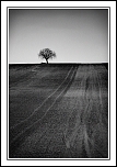 Sigma 18-125-4582.jpg