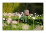 Besoin de votre avis-timeo_cardamine_002web.jpg