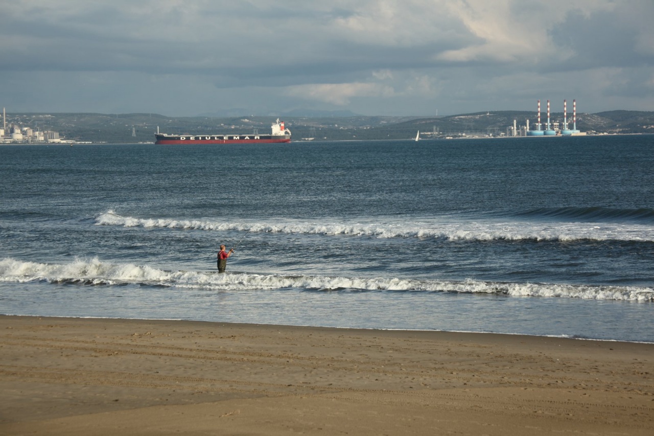 Vous connaissez ?-castor-plage-napoleon-008.jpg