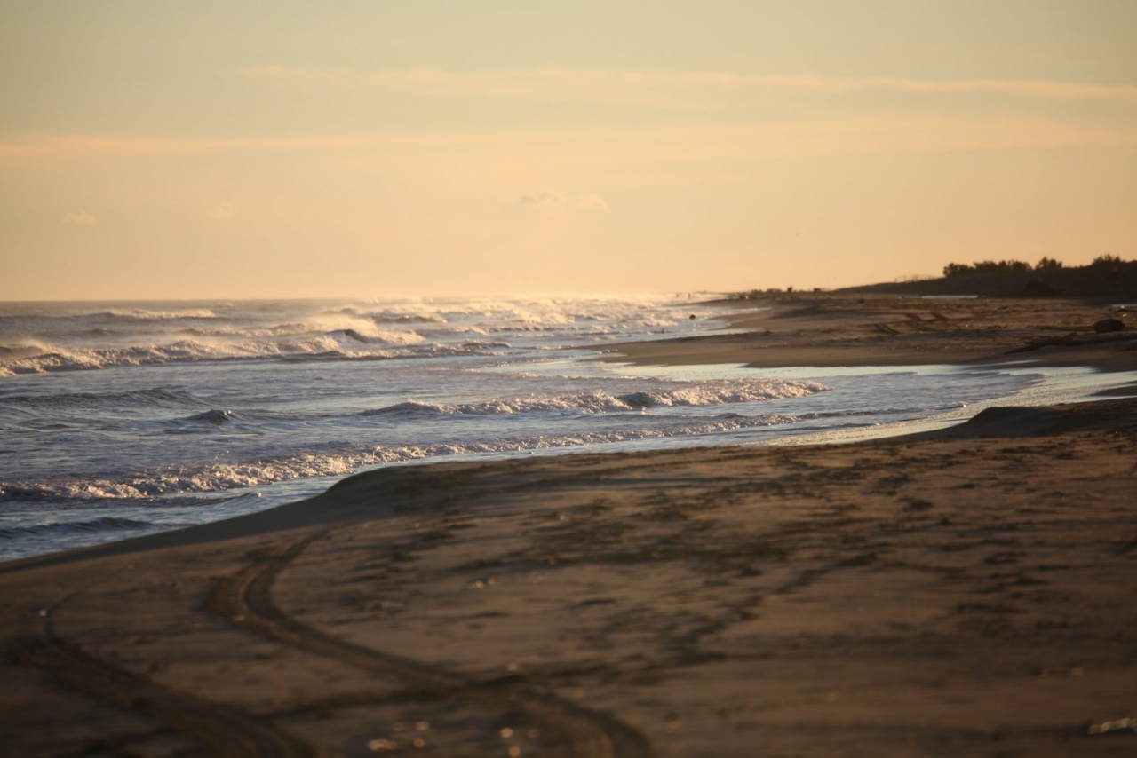 Vous connaissez ?-castor-plage-napoleon-081.jpg