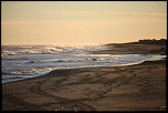 Vous connaissez ?-castor-plage-napoleon-081.jpg