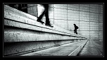 nouveaux membre-242754007.jpg