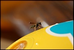 Mon Matos-img_2024.jpg