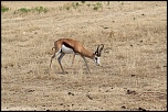 Mon Matos-img_4479.jpg