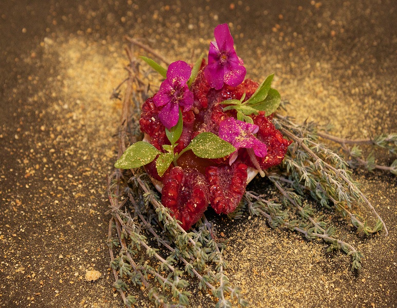 Mon Matos-framboise.jpg