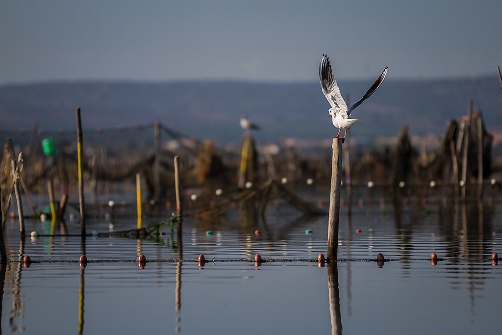 -25-septembre-2012-013eosnum1.jpg