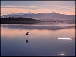 -12-decembre-2010-005eosnum1.jpg