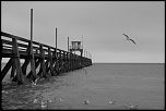 Sigma 135-400 APO-luc-sur-mer.jpg