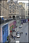 -bear-week-edimbourg.jpg