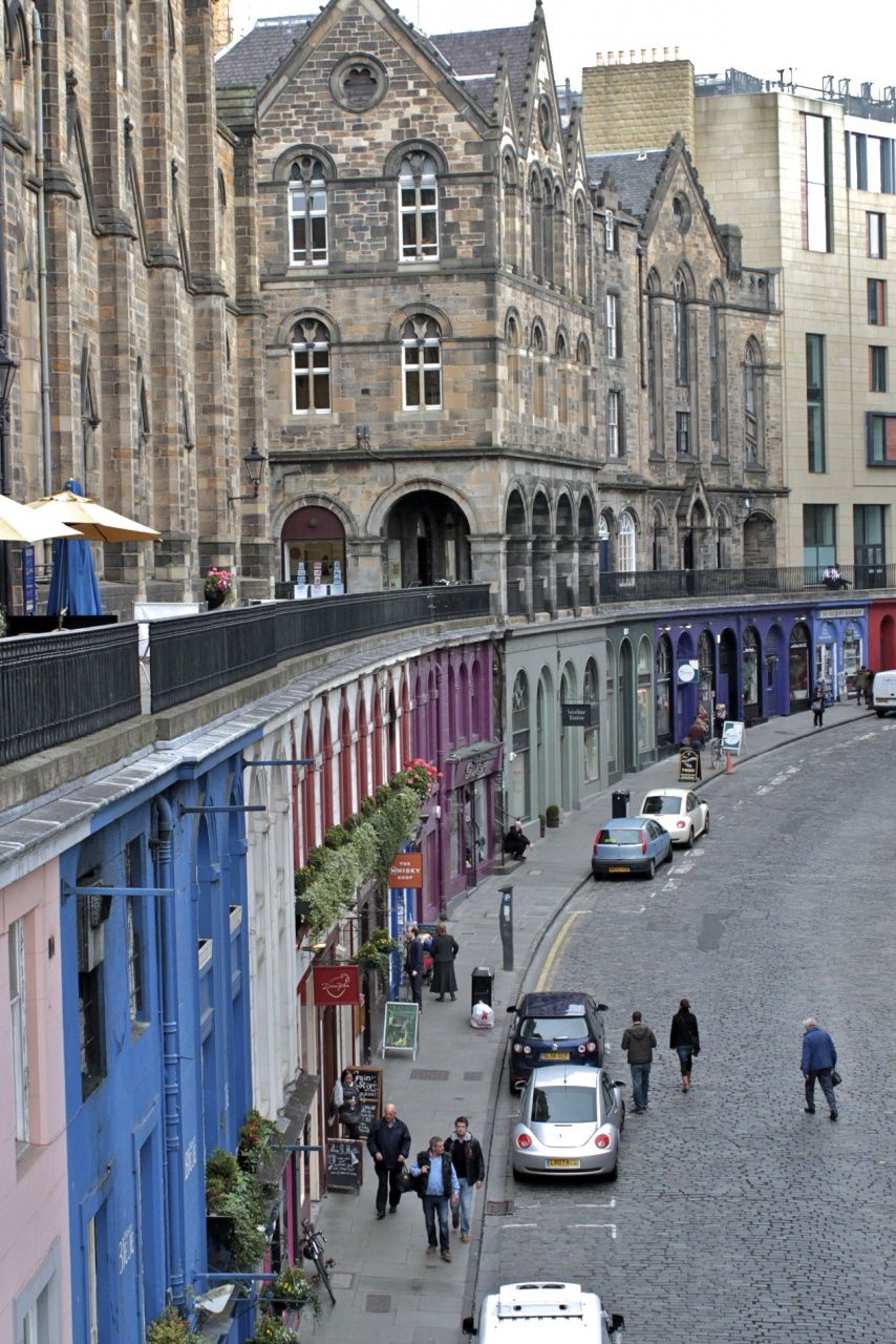 -bear-week-edimbourg.jpg
