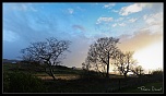 firmware-soleilecossais.jpg