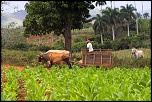 cuba 2012 IMG 1635 Lr DxO