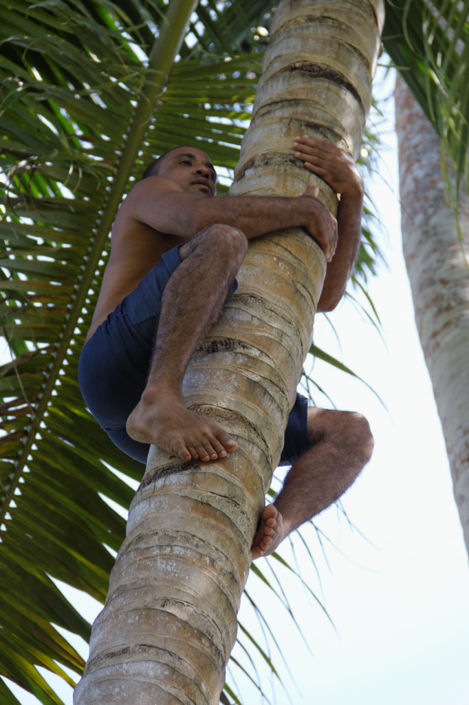 cuba 2012 IMG 0648 DxO