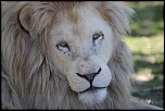 IMG 7559