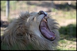 IMG 7521