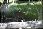 IMG 7375