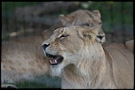 IMG 7176