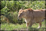 IMG 7169