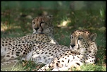 IMG 7153