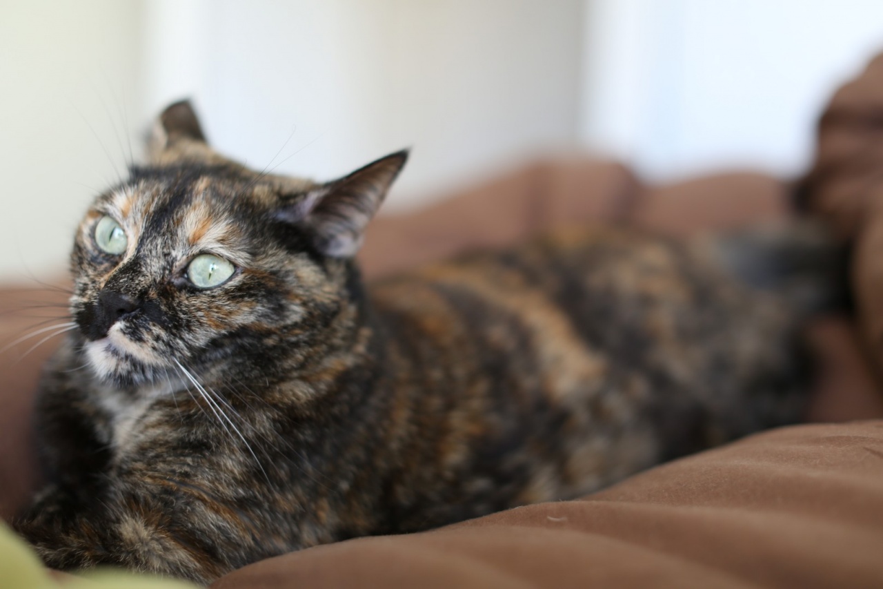 SIGMA 24-60 F2.8 DG EX-gb5a0604.jpg