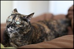 SIGMA 24-60 F2.8 DG EX-gb5a0604.jpg
