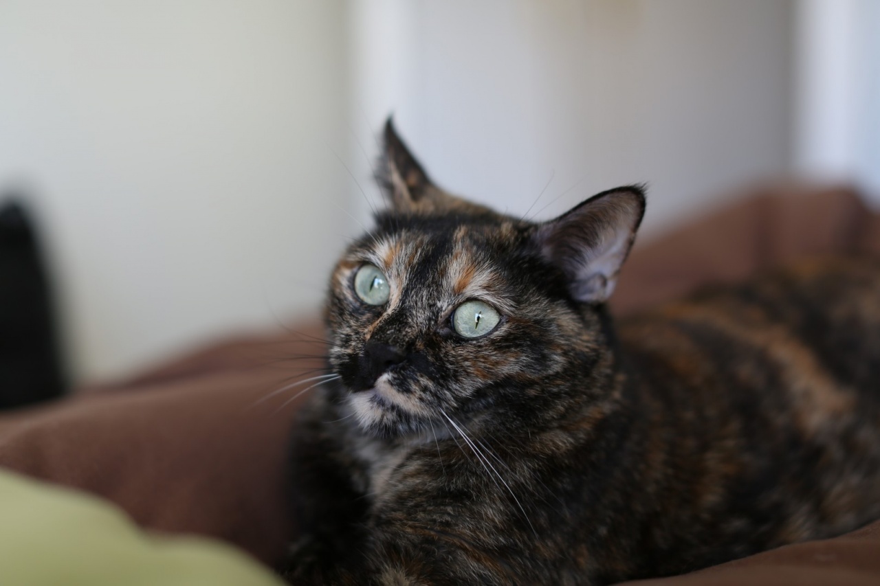 SIGMA 24-60 F2.8 DG EX-gb5a0602.jpg