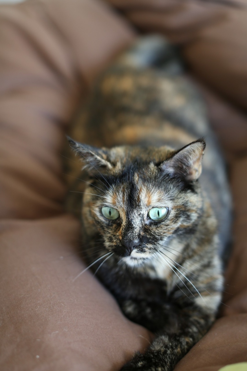 SIGMA 24-60 F2.8 DG EX-gb5a0606.jpg
