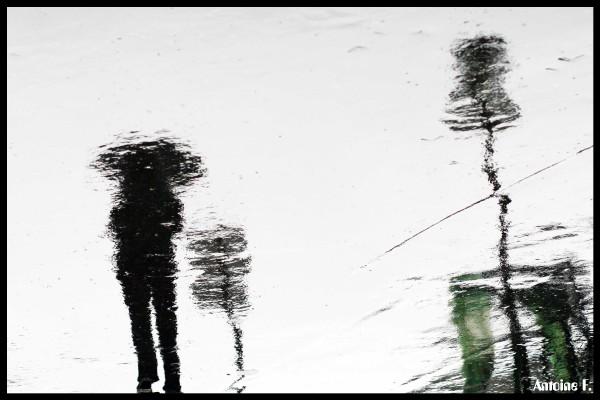 l 12236518c2d84daeb5eacb7aeca29434