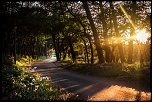 -img_2143.jpg