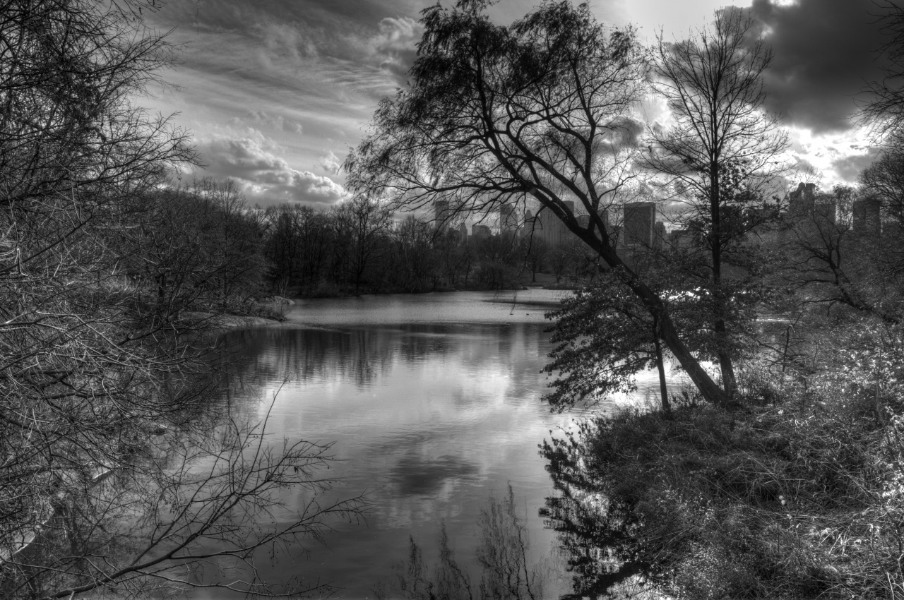 [Photo-Shop]Mode image CMJN et photoshop-centralpark2.jpg